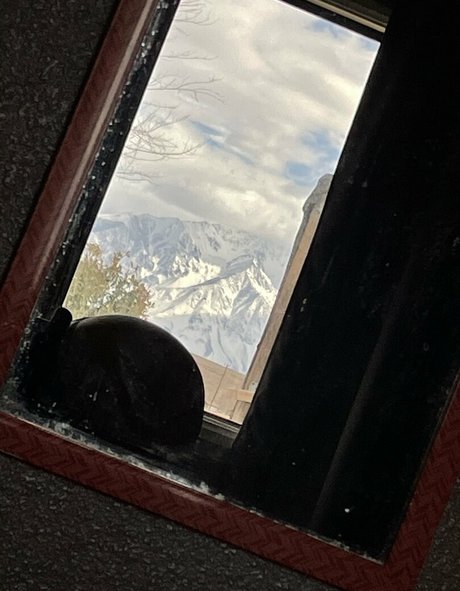 Foto di nudo di fuga di OnlyFans di Tacowhore