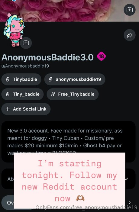 Foto di nudo di fuga di OnlyFans di Free Anonymousbaddie19