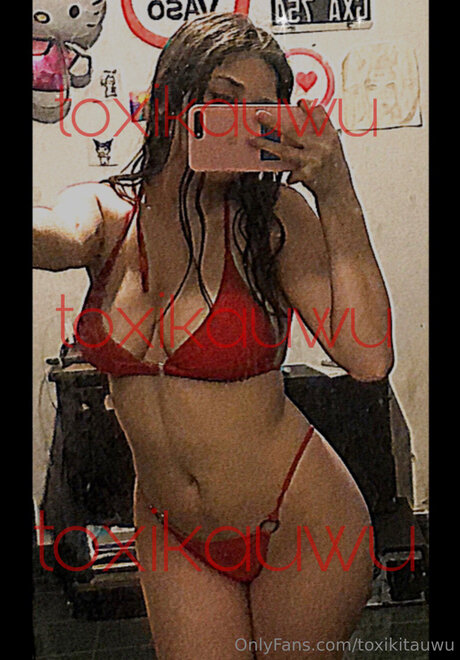 Foto di nudo di fuga di OnlyFans di Toxikauwu