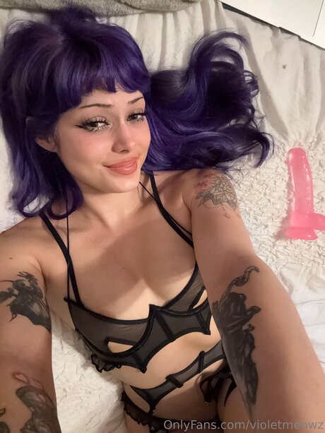 Foto di nudo di fuga di OnlyFans di Violetmeowz