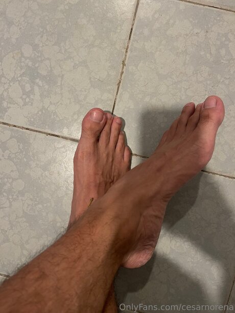 Cesarnorena