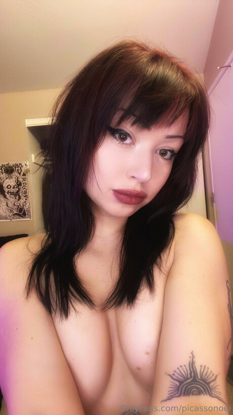 Foto di nudo di fuga di OnlyFans di Picassonoel