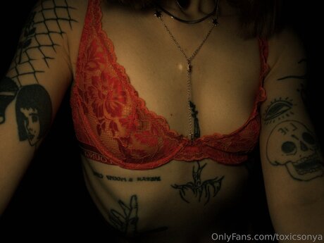 Foto di nudo di fuga di OnlyFans di Toxicsonya