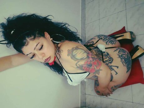 Asslatina