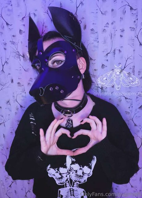 Pupmoth