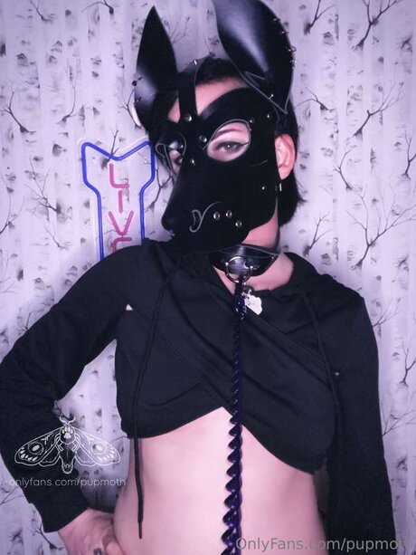 Pupmoth
