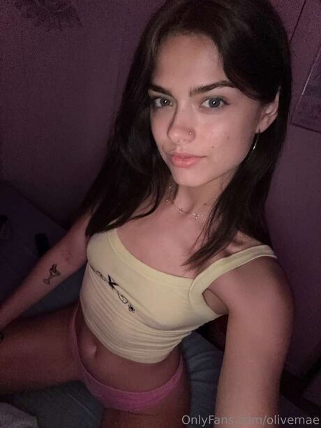 Olivemae