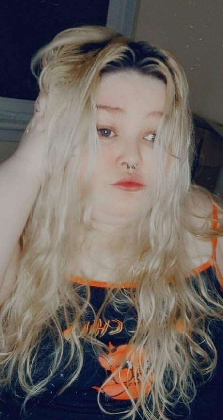 Thebbwbible