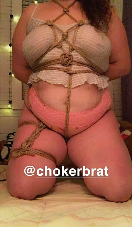 Thebbwbible