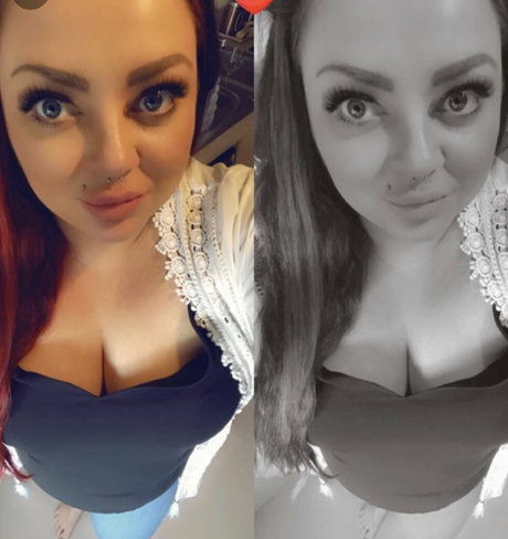 Thebbwbible