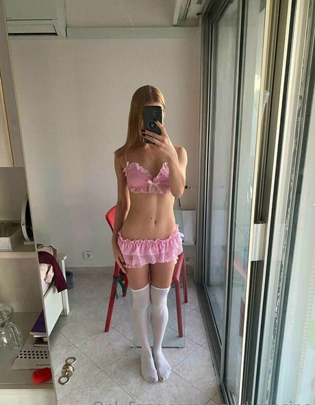 Maddisonsins