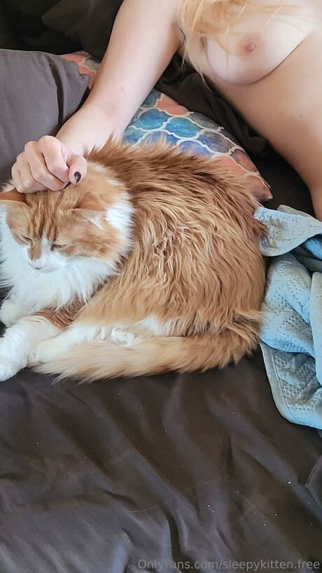 Sleepykitten Free