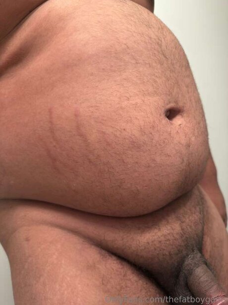 Thefatboygains