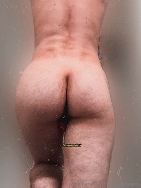 Foto di nudo di fuga di OnlyFans di Tinytransdick