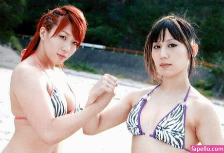 Foto di nudo di fuga di OnlyFans di Asuka Wwe