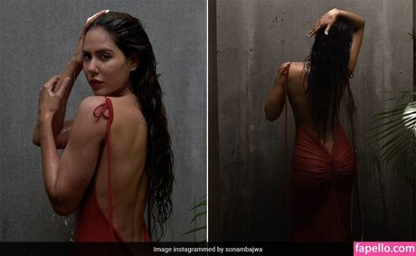 Sonam Bajwa