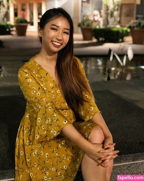 Foto di nudo di fuga di OnlyFans di Sophia Phan