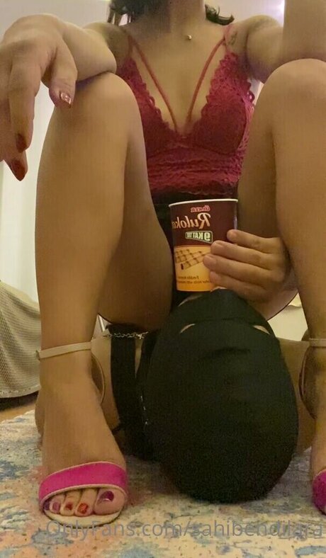 Sahibendilara