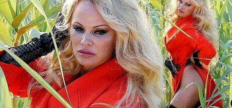 Pam Anderson