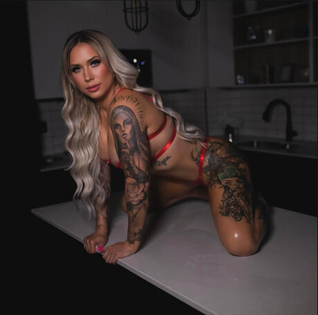 Foto di nudo di fuga di OnlyFans di Barbie Ampamp Ken