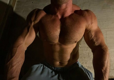 Hard8inxhes