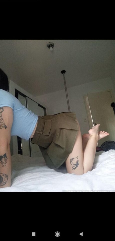Foto di nudo di fuga di OnlyFans di Princessmoxxi