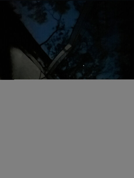 Foto di nudo di fuga di OnlyFans di Ren Amplt3