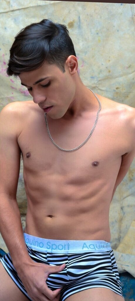 Novin Sapeca 