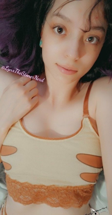 Lynxbabe