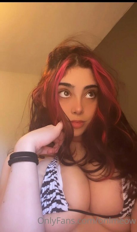Foto di nudo di fuga di OnlyFans di Onlmeow