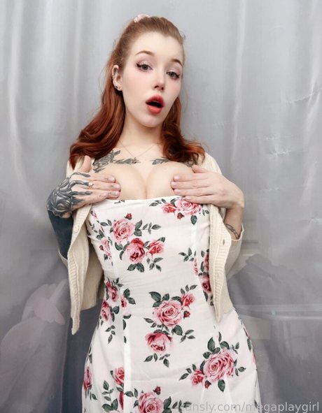 Foto di nudo di fuga di OnlyFans di Megaplaygirl