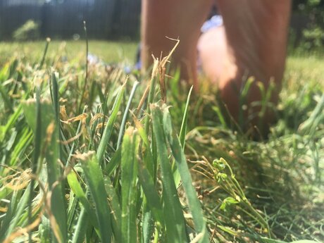 Foto di nudo di fuga di OnlyFans di Jamaicansize11