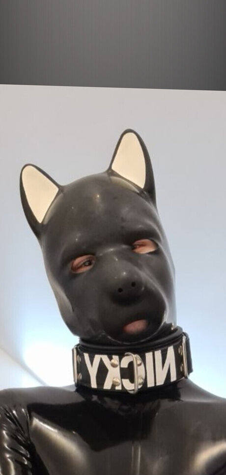 Foto di nudo di fuga di OnlyFans di Pupnicky