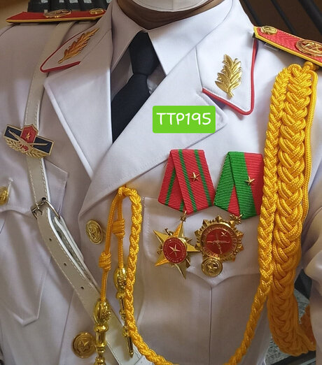 Ttp195