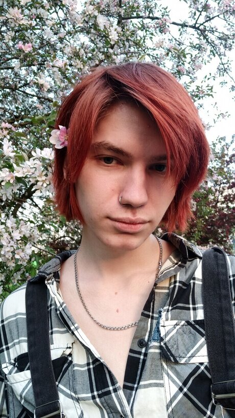 Dariarain