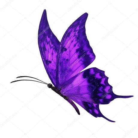 Foto di nudo di fuga di OnlyFans di Missbutterfly