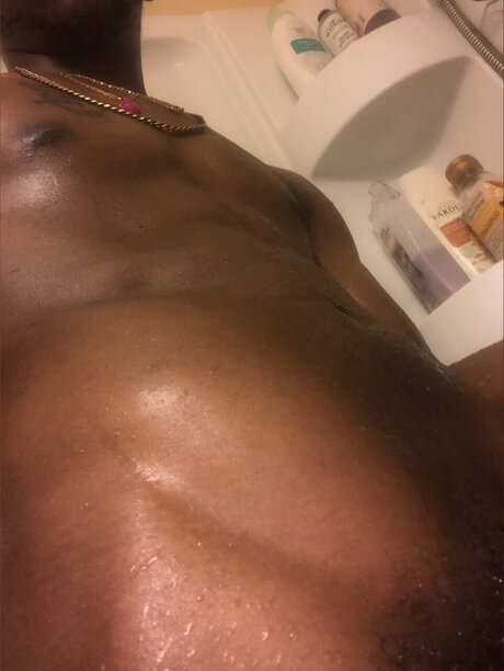 U19520396