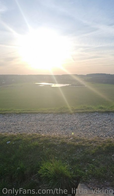 Thelittleviking