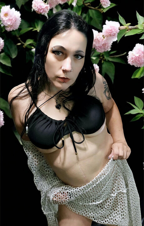 Lili Lace