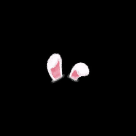 Dorabunny