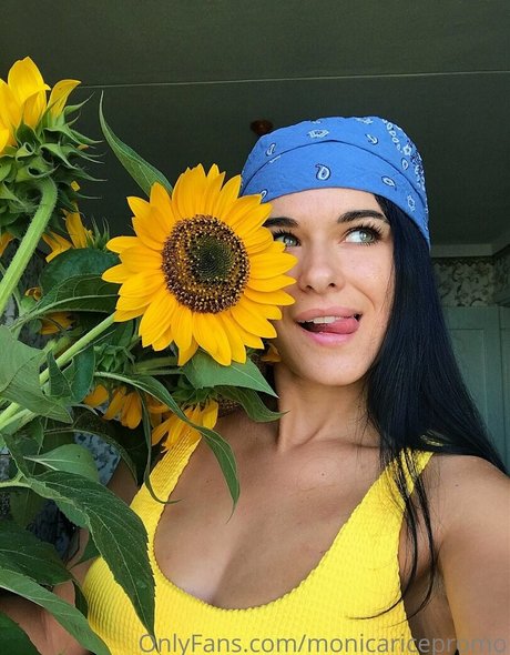 Monicaricepromo