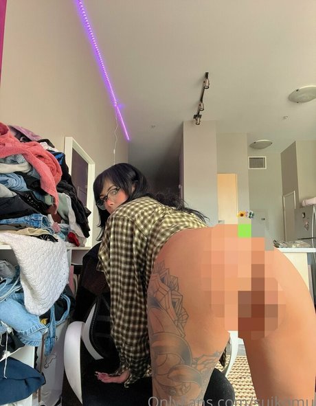 Foto di nudo di fuga di OnlyFans di Suikomuu