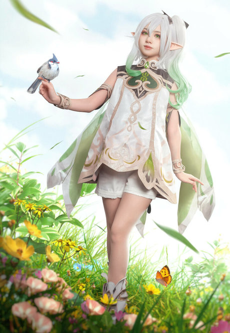 Nekokoyoshi