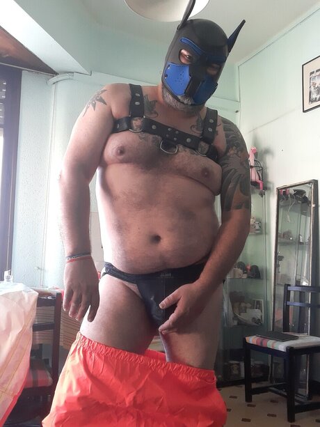 Foto di nudo di fuga di OnlyFans di Wingedmonkey