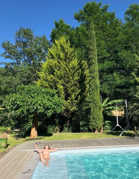 Lizannel