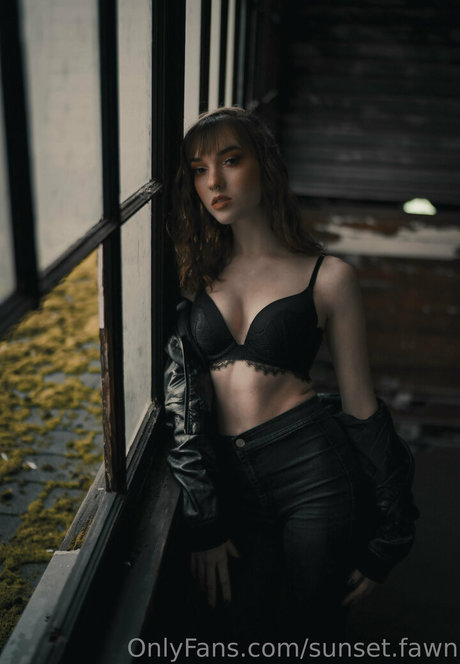 Sunsetfawn