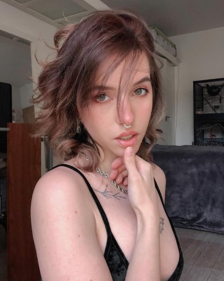 Foto di nudo di fuga di OnlyFans di Xailurus