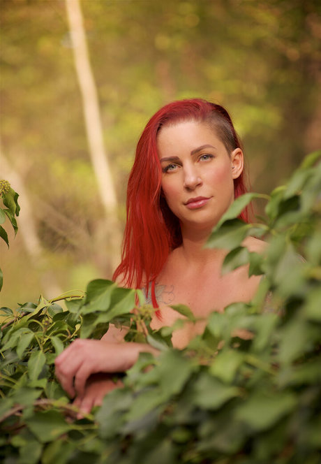 Larraphoenix