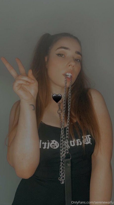 Foto di nudo di fuga di OnlyFans di Serenewaifu