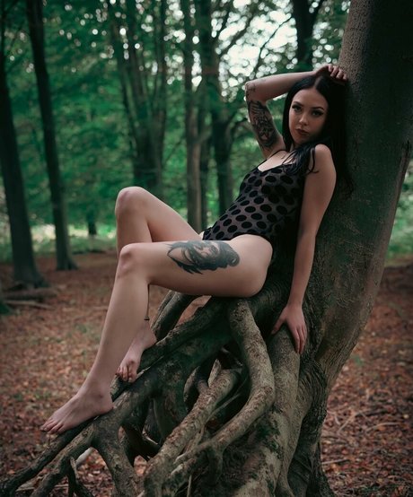 Jensteviexo